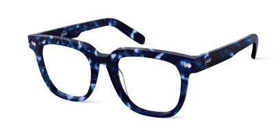 blue tortoise