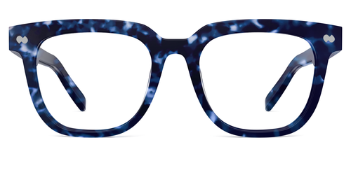 blue tortoise