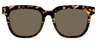 The Polarized Chic Tortoise Split Sun Top - Front Top Thumbnail - Pair Eyewear