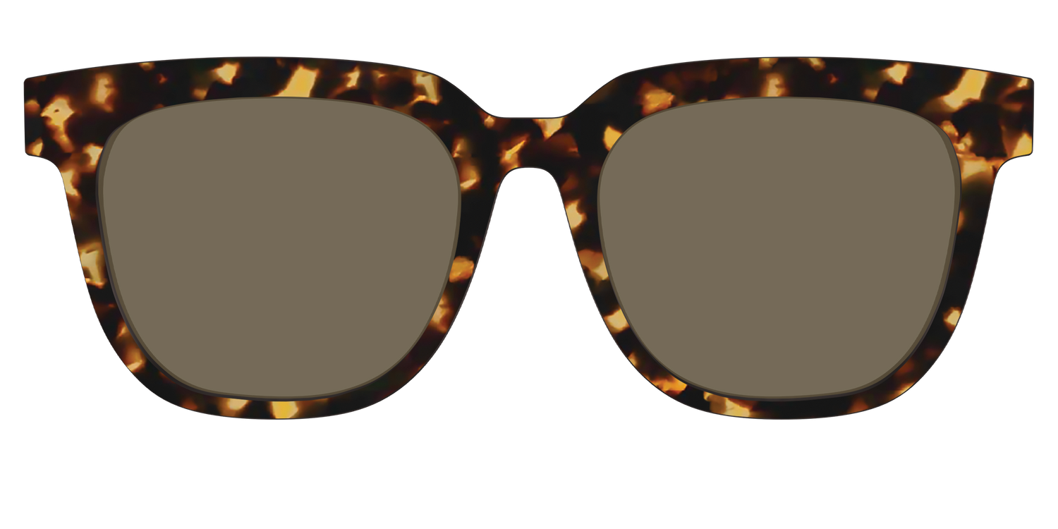The Non-Polarized Tortoise Sun Top - Front Top Image - Pair Eyewear