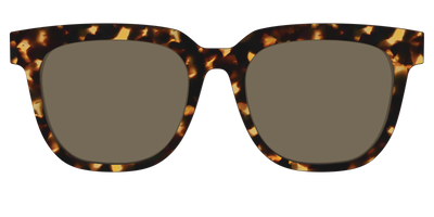 The Non-Polarized Tortoise Sun Top - Front Top Thumbnail - Pair Eyewear
