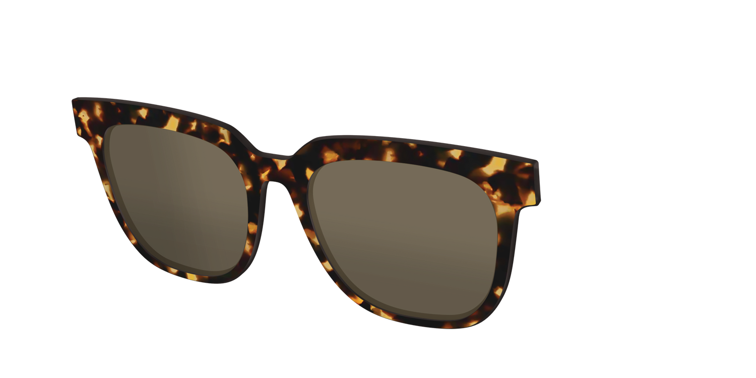 The Non-Polarized Tortoise Sun Top - Angle Top Image - Pair Eyewear