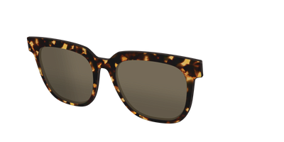 The Non-Polarized Tortoise Sun Top - Angle Top Thumbnail - Pair Eyewear