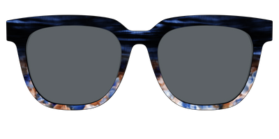 The Polarized Blue Horn Tortoise Sun Top - Front Top Thumbnail - Pair Eyewear