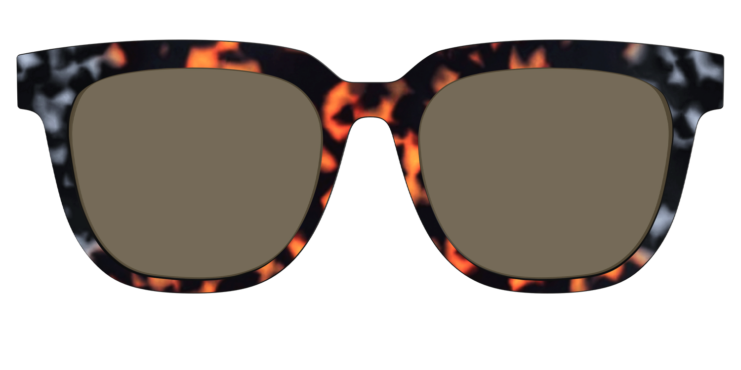 The Polarized Gray & Amber Tortoise Sun Top - Front Top Image - Pair Eyewear