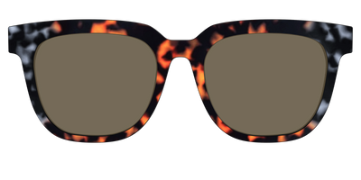 The Polarized Gray & Amber Tortoise Sun Top - Front Top Thumbnail - Pair Eyewear