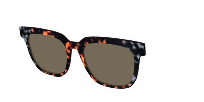The Polarized Gray & Amber Tortoise Sun Top - Angle Top Thumbnail - Pair Eyewear
