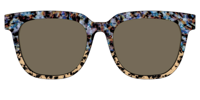 The Polarized Oasis Tortoise Split Sun Top - Front Top Thumbnail - Pair Eyewear