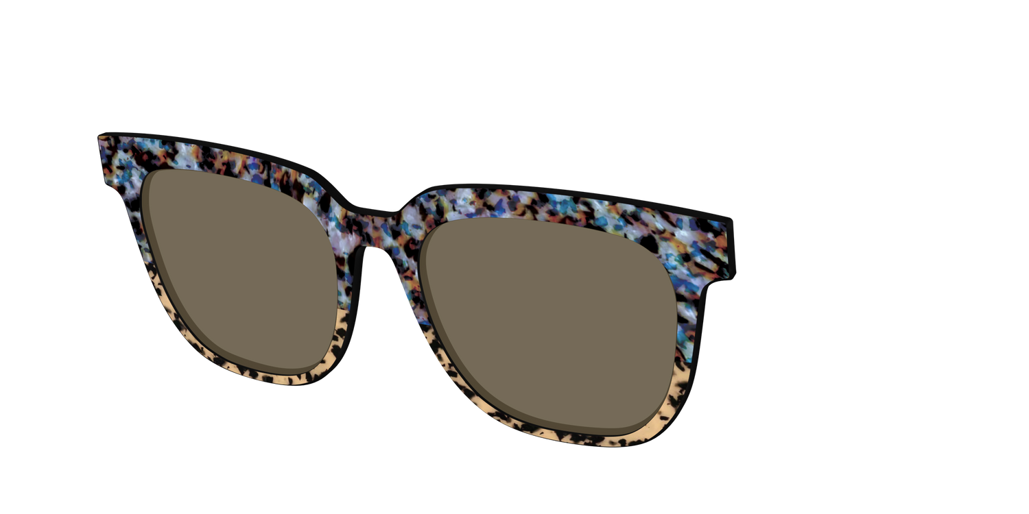 The Polarized Oasis Tortoise Split Sun Top - Angle Top Image - Pair Eyewear