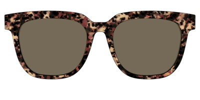 The Polarized Sienna Tortoise Sun Top - Front Top Thumbnail - Pair Eyewear