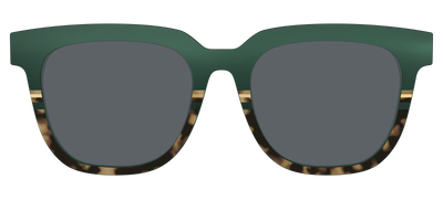 The Polarized Spruce Tortoise Sun Top - Front Top Thumbnail - Pair Eyewear