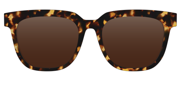 The Payton - Lensless