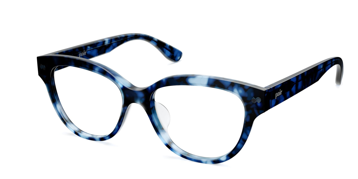 blue tortoise