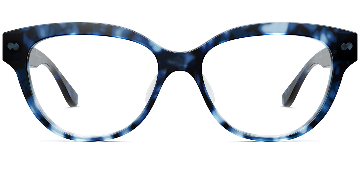 blue tortoise