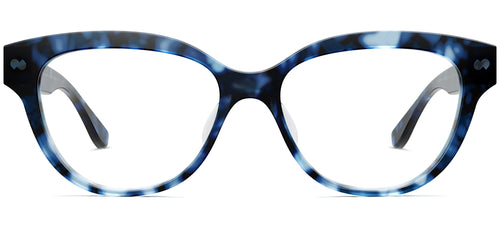 blue tortoise