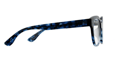 blue tortoise