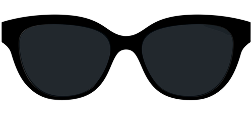 The Non-Polarized Black Sun Top - Pair Eyewear