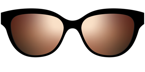 The Polarized Gold Reflective Sun Top - Pair Eyewear