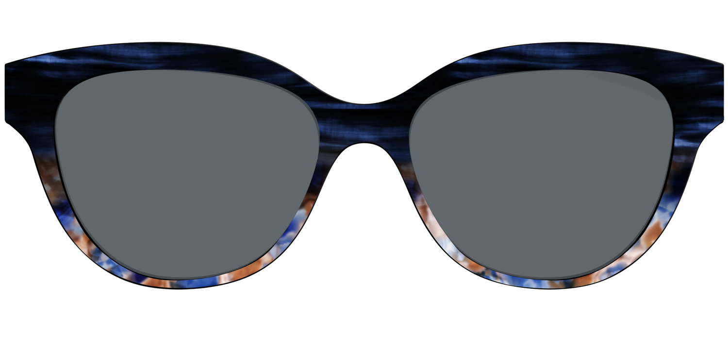 The Polarized Blue Horn Tortoise Sun Top - Front Top Image - Pair Eyewear