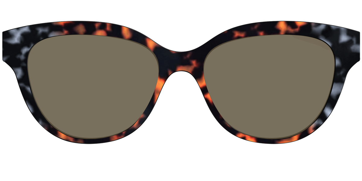 The Polarized Gray & Amber Tortoise Sun Top - Front Top Image - Pair Eyewear