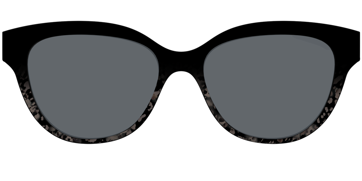 The Polarized Shaded Tortoise Sun Top - Front Top Image - Pair Eyewear