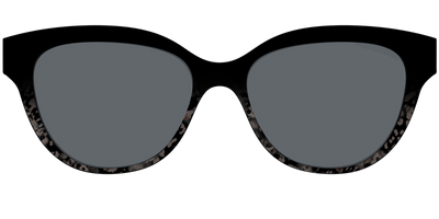 The Polarized Shaded Tortoise Sun Top - Front Top Thumbnail - Pair Eyewear