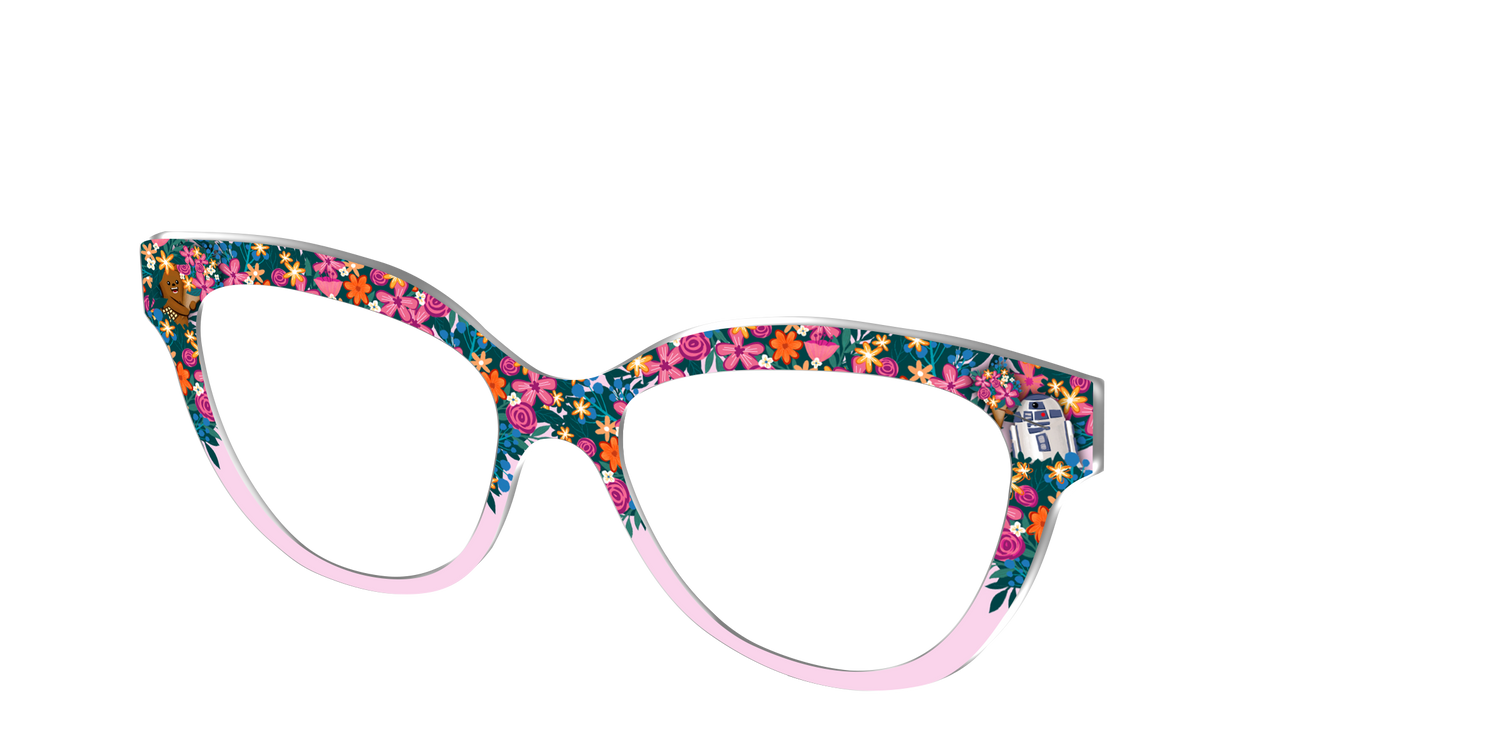 R2 and Chewie's Flower Shop - Angle Top Image - Pair Eyewear