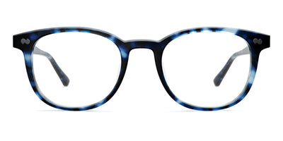 blue tortoise