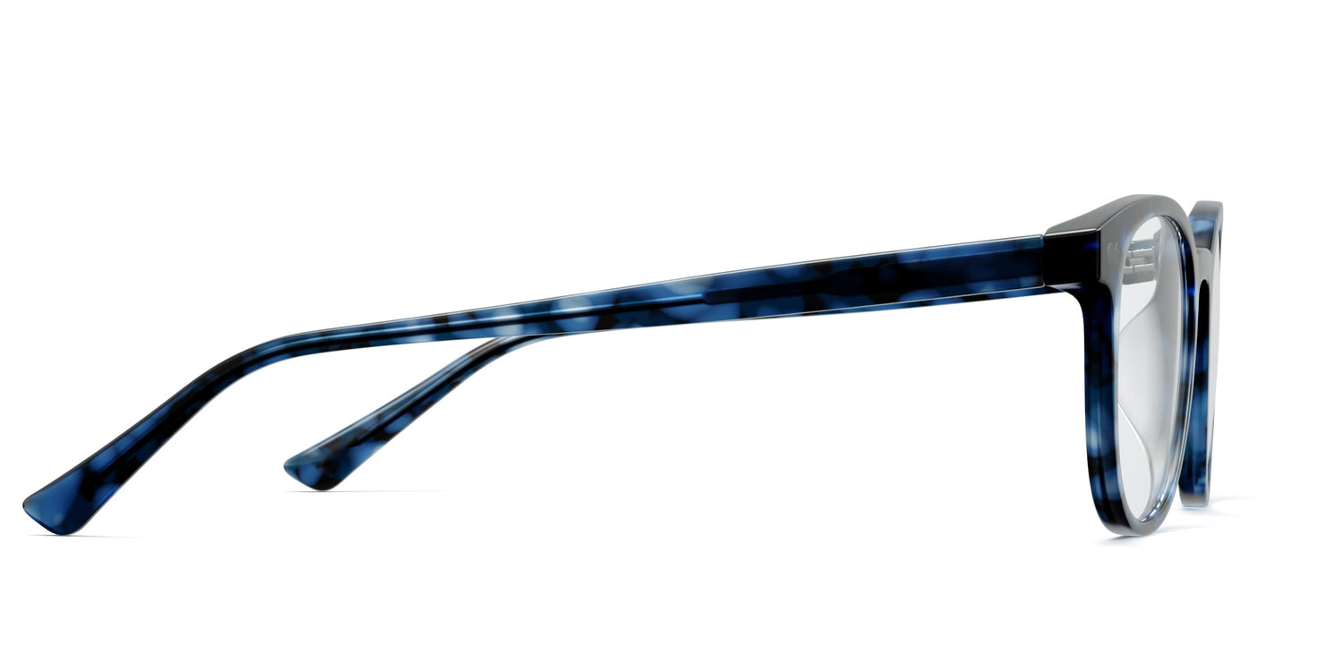 blue tortoise