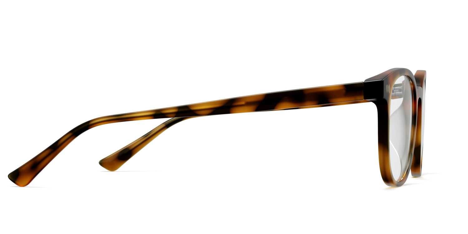 The Reese - Tortoise