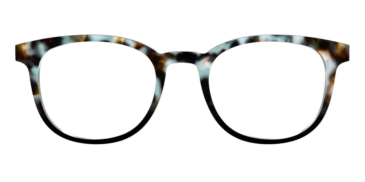 The Academic Tortoise - Front Top Image - Pair Eyewear