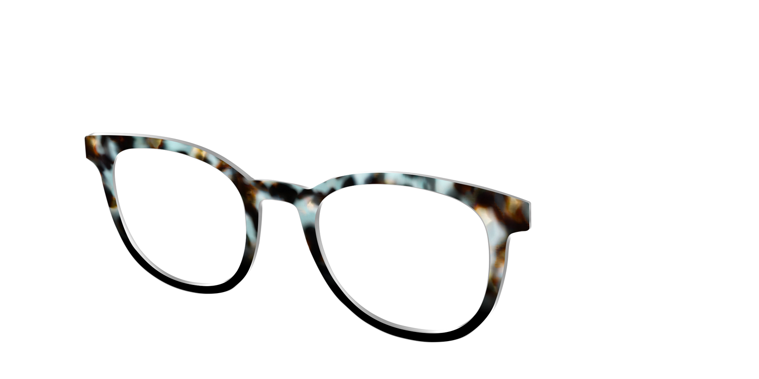 The Academic Tortoise - Angle Top Image - Pair Eyewear