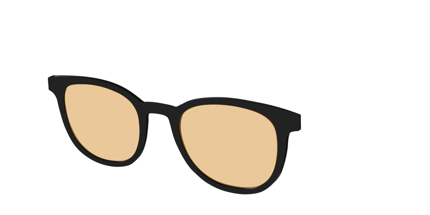 The Black With Umber Brown Lens - Angle Top Image - Pair Eyewear