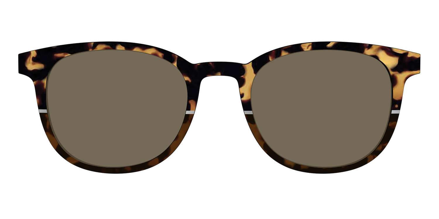 The Polarized Chic Tortoise Split Sun Top - Front Top Image - Pair Eyewear
