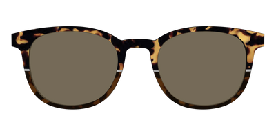 The Polarized Chic Tortoise Split Sun Top - Front Top Thumbnail - Pair Eyewear