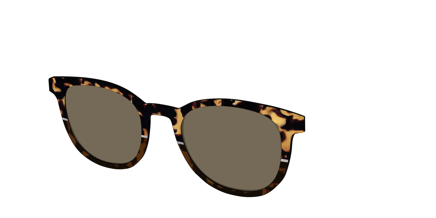 The Polarized Chic Tortoise Split Sun Top - Angle Top Image - Pair Eyewear