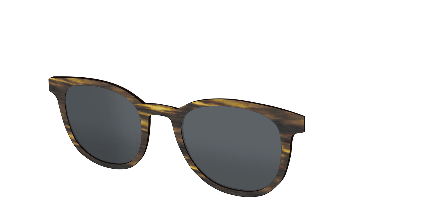 The Polarized Horn Sun Top - Angle Top Image - Pair Eyewear