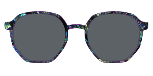 The Polarized Abalone Sun Top - Pair Eyewear