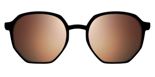 The Polarized Gold Reflective Sun Top - Pair Eyewear