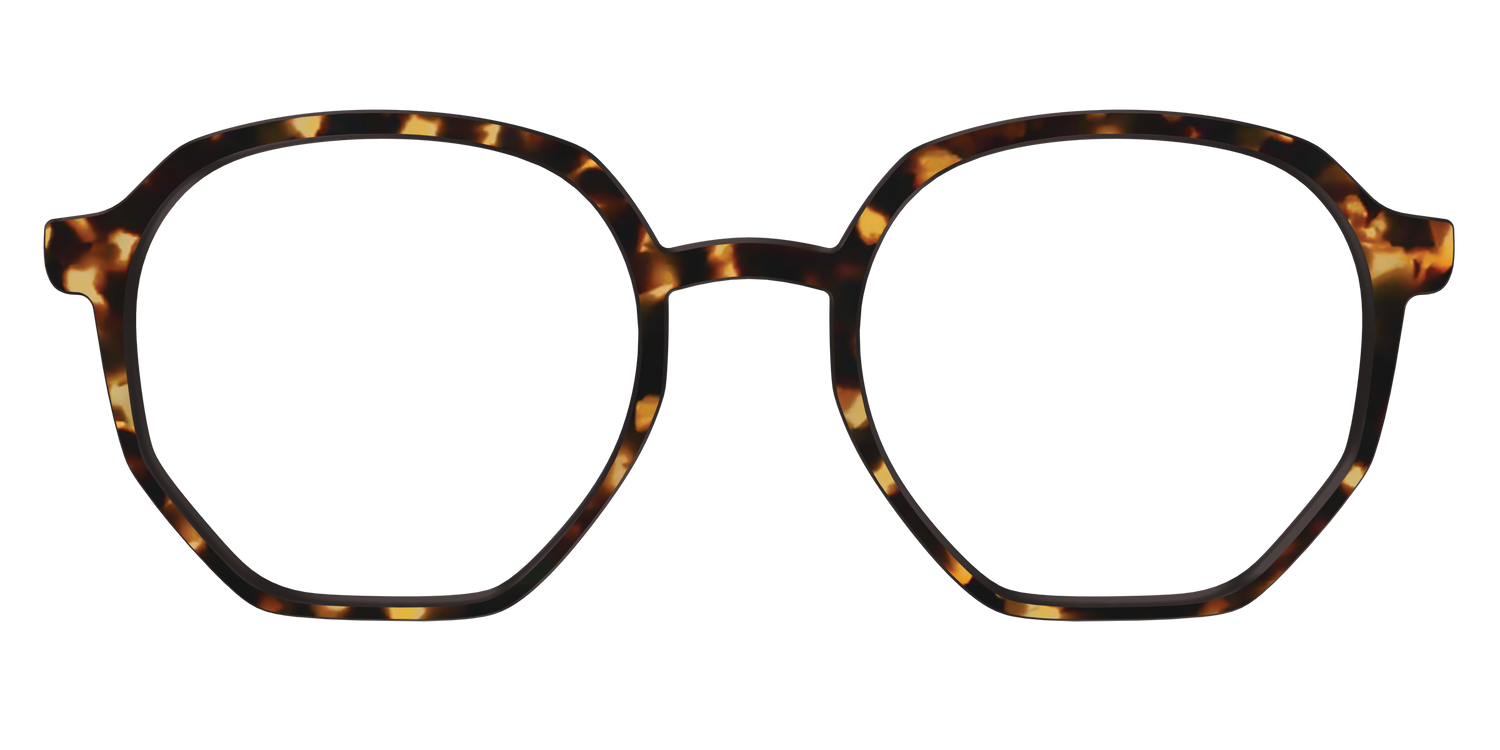 The Tortoise - Front Top Image - Pair Eyewear