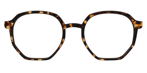 The Tortoise - Pair Eyewear