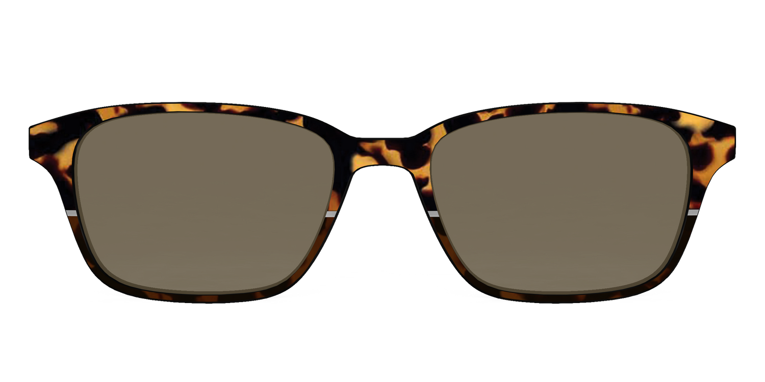 The Polarized Chic Tortoise Split Sun Top - Front Top Image - Pair Eyewear