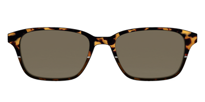 The Polarized Chic Tortoise Split Sun Top - Front Top Thumbnail - Pair Eyewear