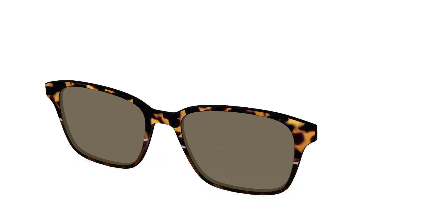 The Polarized Chic Tortoise Split Sun Top - Angle Top Image - Pair Eyewear