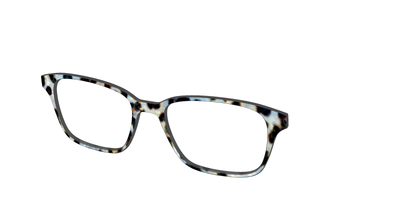 The Earl Grey Tortoise - Angle Top Thumbnail - Pair Eyewear