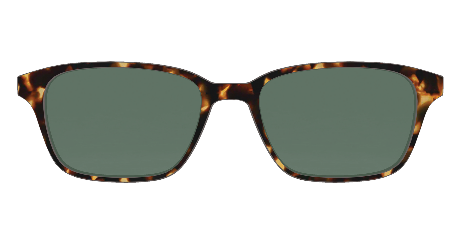 The Non-Polarized Green Tortoise Sun Top - Front Top Image - Pair Eyewear