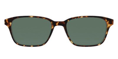 The Non-Polarized Green Tortoise Sun Top - Front Top Thumbnail - Pair Eyewear