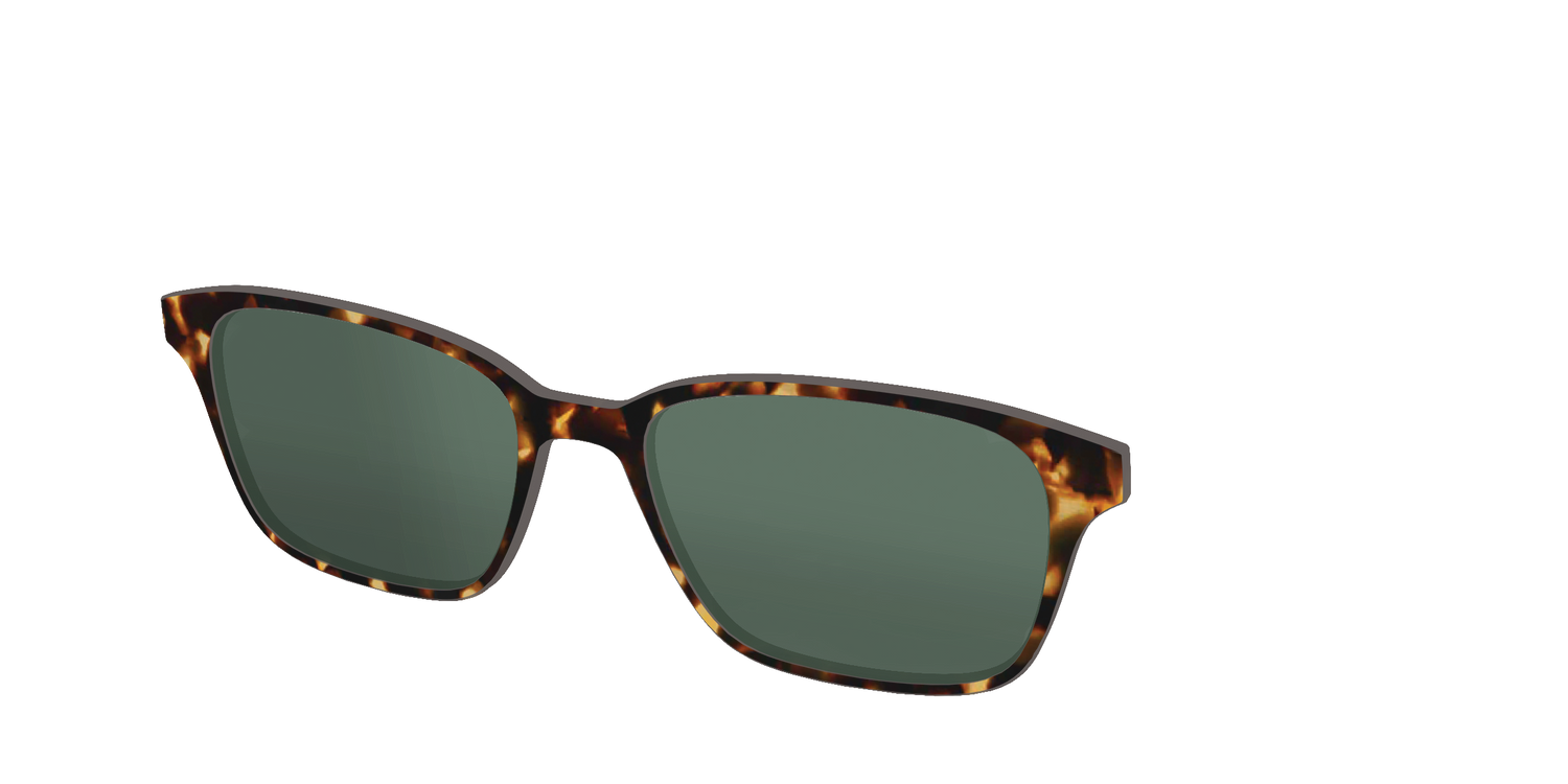The Non-Polarized Green Tortoise Sun Top - Angle Top Image - Pair Eyewear