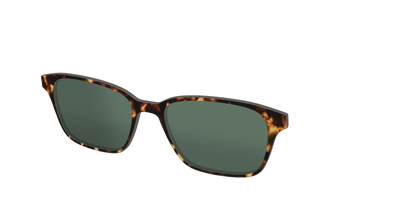 The Non-Polarized Green Tortoise Sun Top - Angle Top Thumbnail - Pair Eyewear