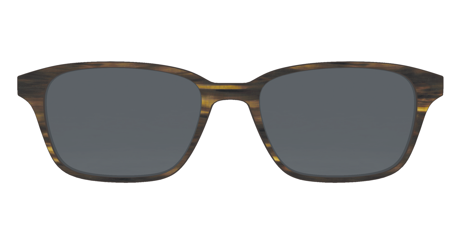 The Polarized Horn Sun Top - Front Top Image - Pair Eyewear